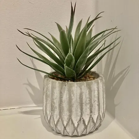 Alex Place's Apartment